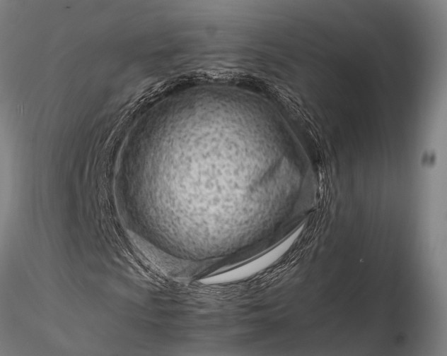 X0000116311009200912141353