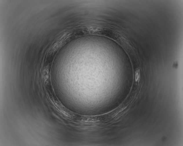 X0000116311011200912141353