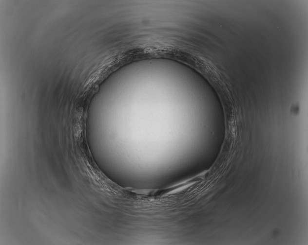 X0000116311012200912141353