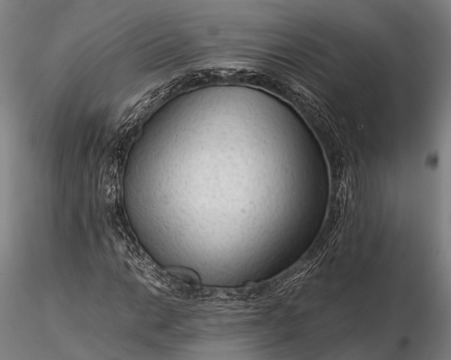 X0000116311014200912141353