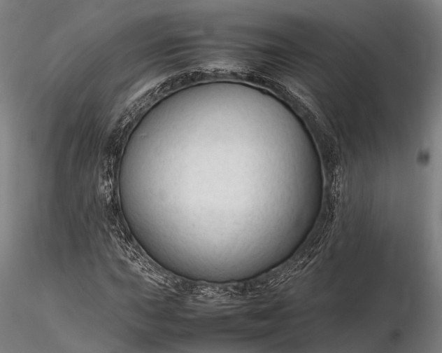 X0000116311015200912141353