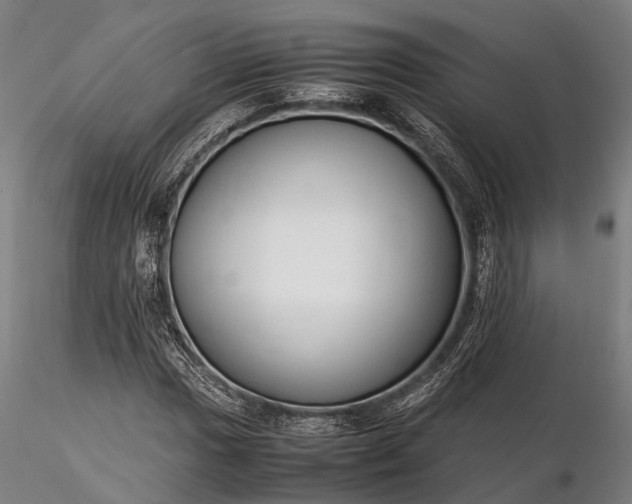 X0000116311017200912141353