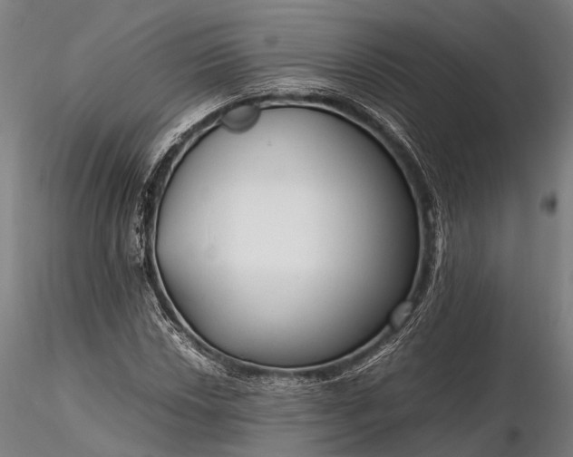 X0000116311018200912141354