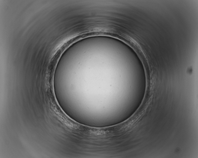 X0000116311019200912141354