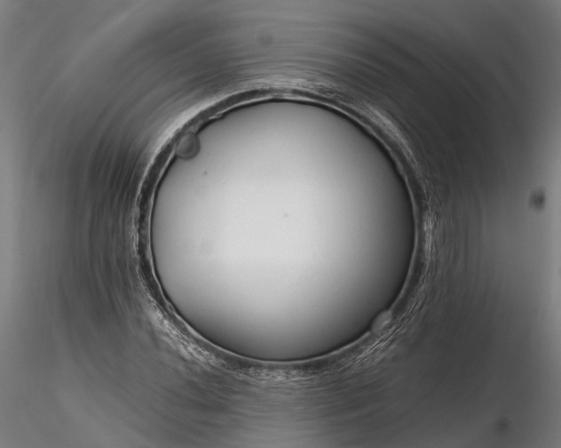 X0000116311020200912141354