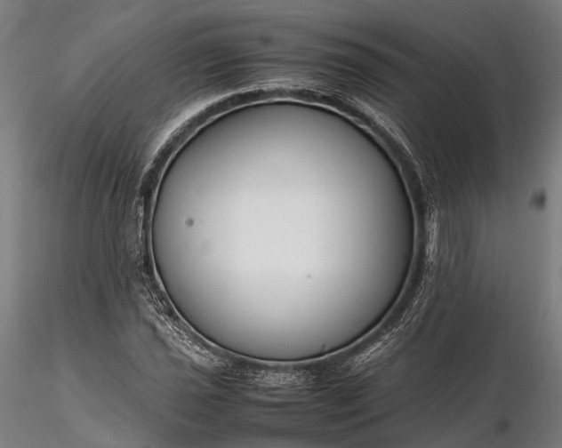 X0000116311021200912141354