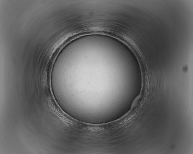 X0000116311023200912141354