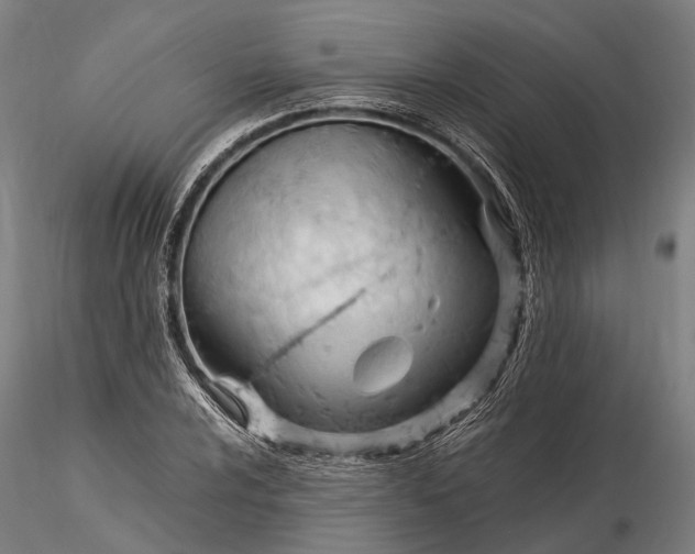 X0000116311024200912141354