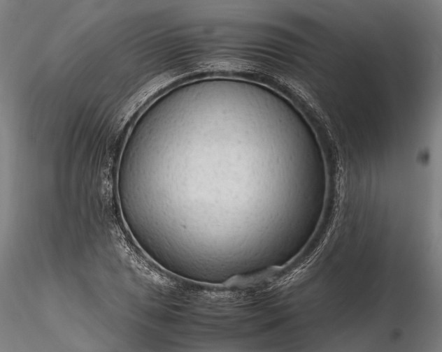 X0000116311025200912141354