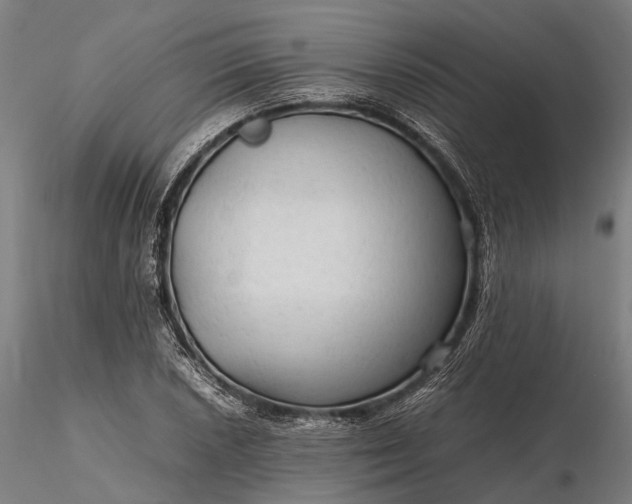 X0000116311026200912141354