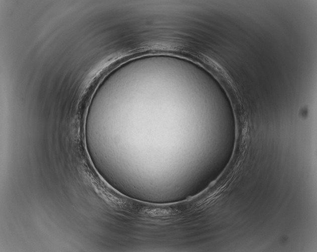 X0000116311027200912141354