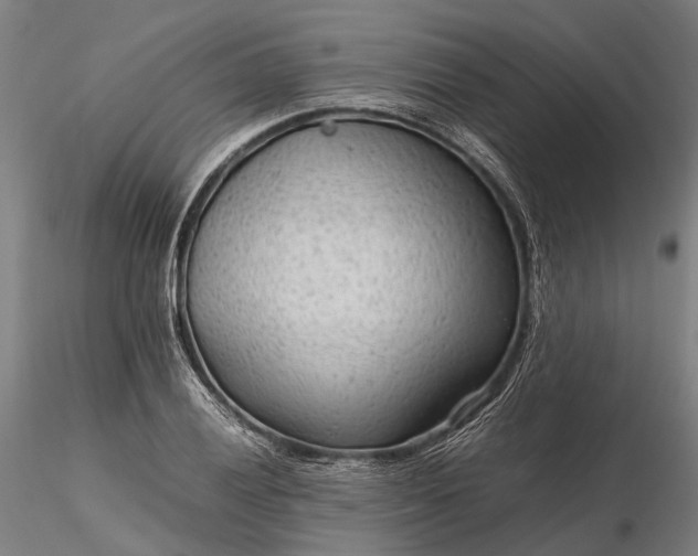 X0000116311028200912141354