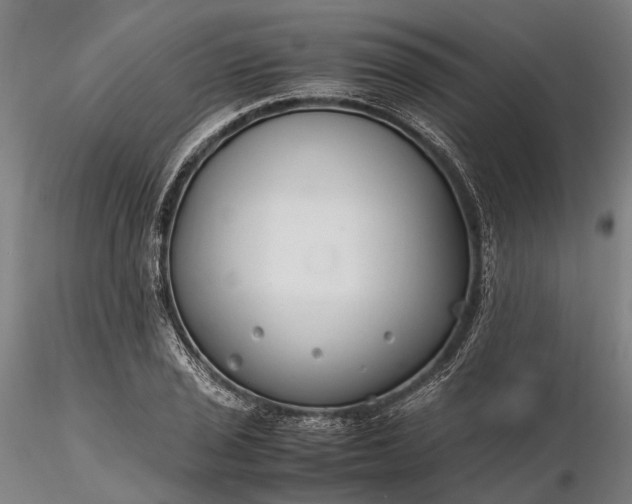 X0000116311029200912141354