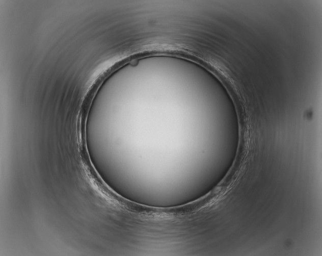 X0000116311030200912141354