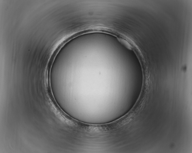 X0000116311032200912141354