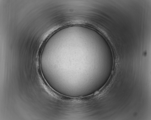 X0000116311034200912141354