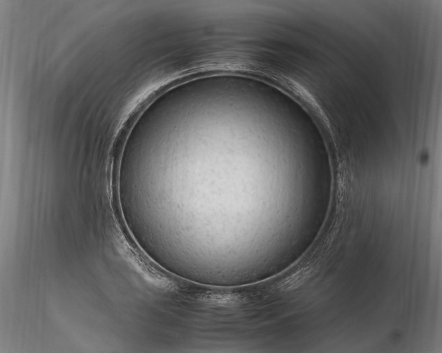 X0000116311035200912141354