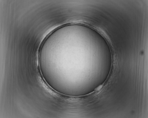 X0000116311036200912141354