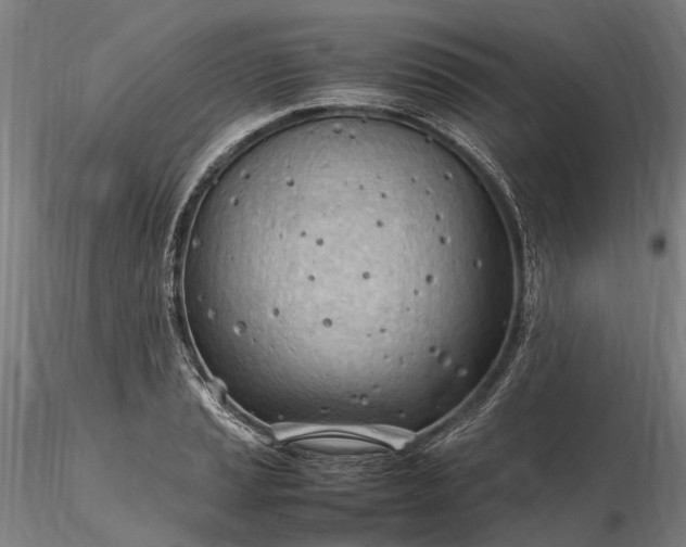 X0000116311037200912141354