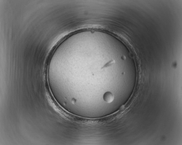 X0000116311038200912141354