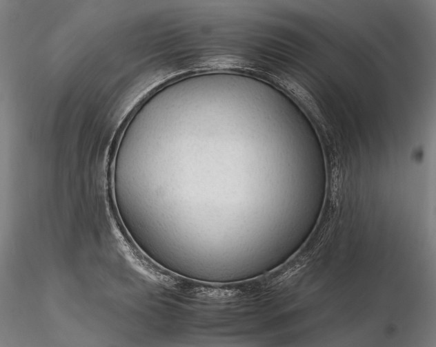 X0000116311039200912141354