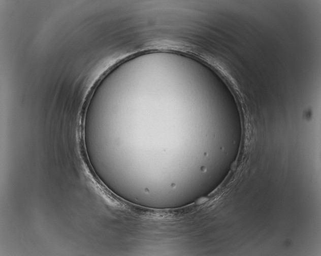 X0000116311040200912141354