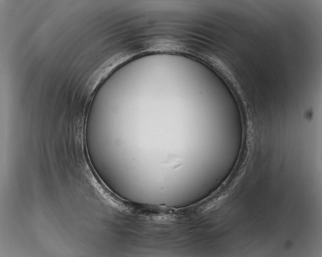 X0000116311041200912141354