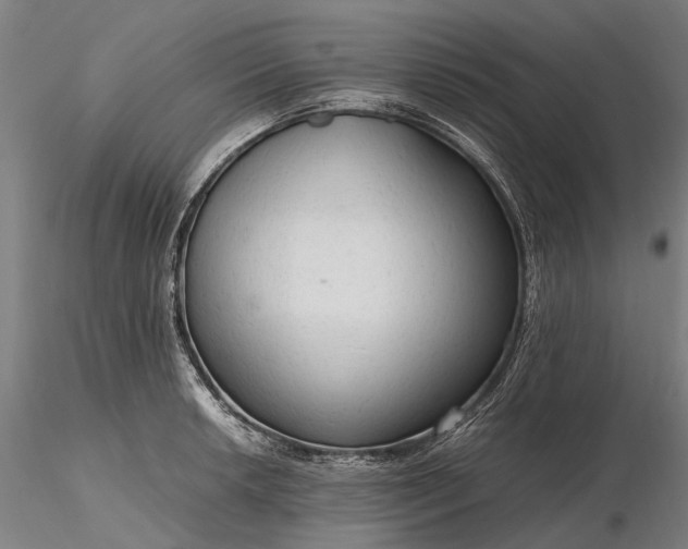 X0000116311042200912141354