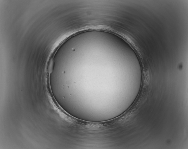 X0000116311046200912141354