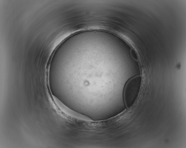 X0000116311047200912141354