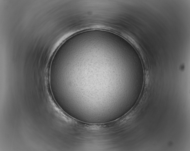 X0000116311048200912141354