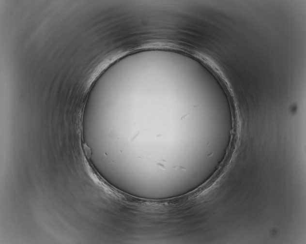 X0000116311049200912141354