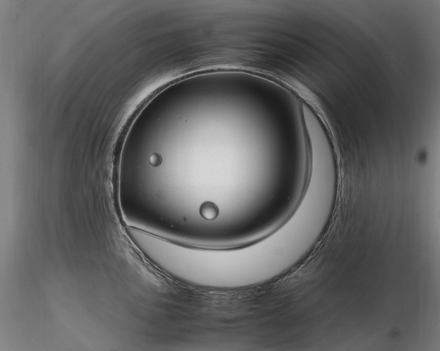 X0000116311051200912141354