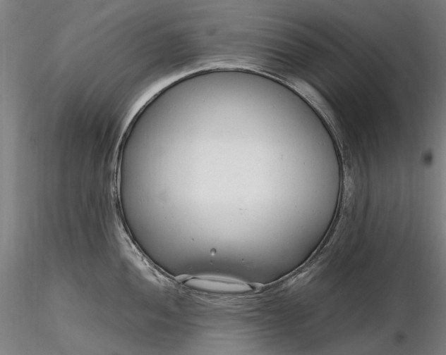 X0000116311052200912141354