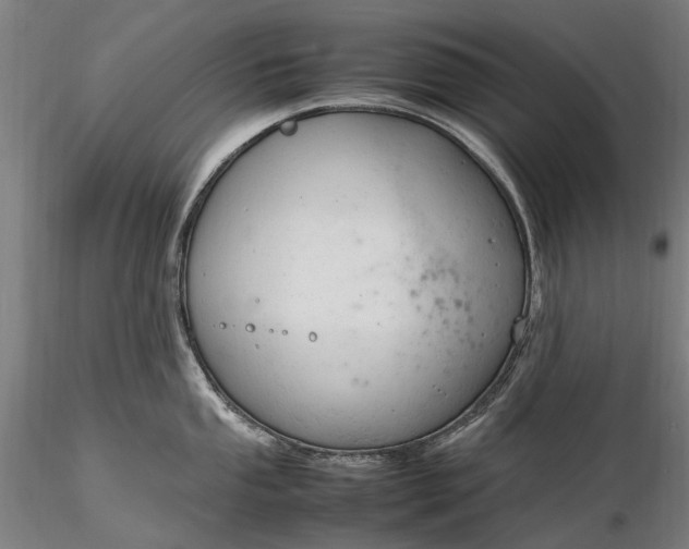 X0000116311053200912141354