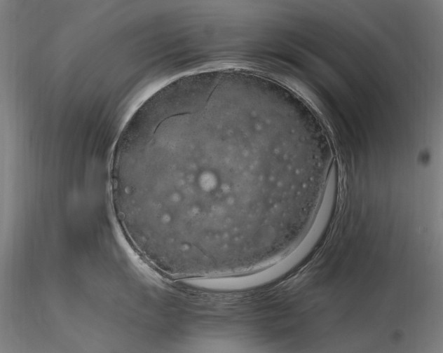 X0000116311055200912141354