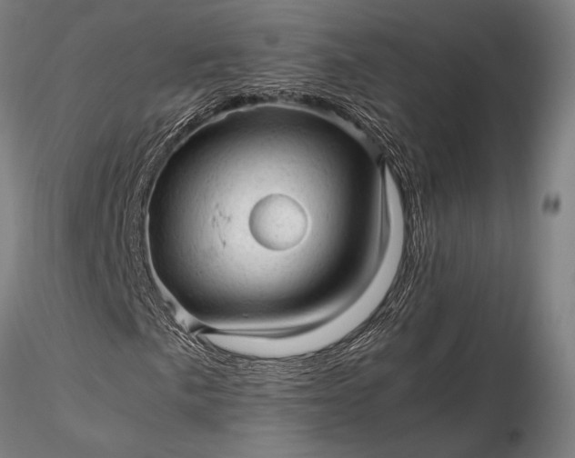 X0000116311057200912141353