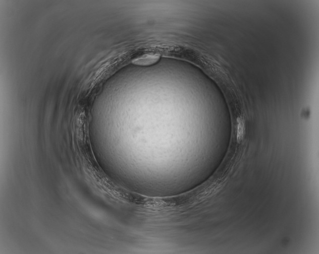 X0000116311059200912141353