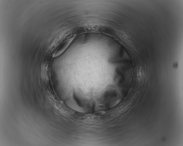 X0000116311060200912141353