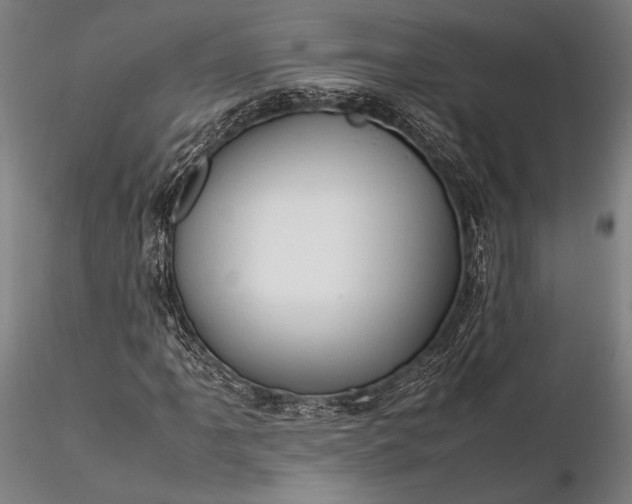 X0000116311061200912141353