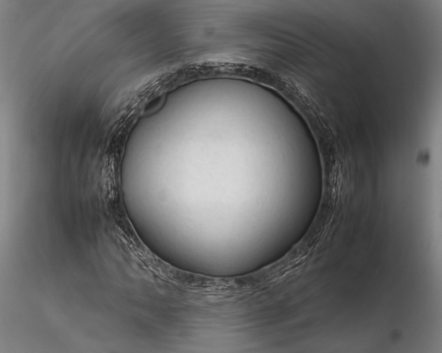 X0000116311062200912141353