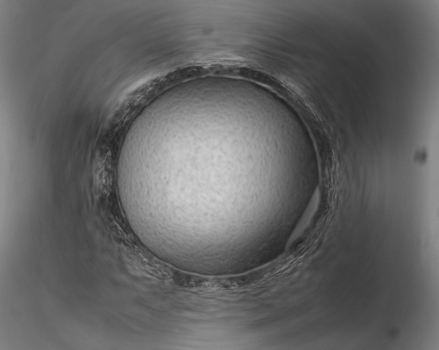 X0000116311063200912141353