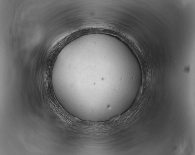 X0000116311064200912141353