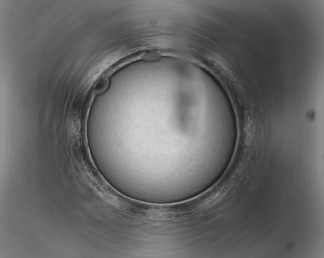 X0000116311065200912141353