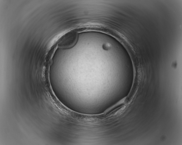 X0000116311066200912141353