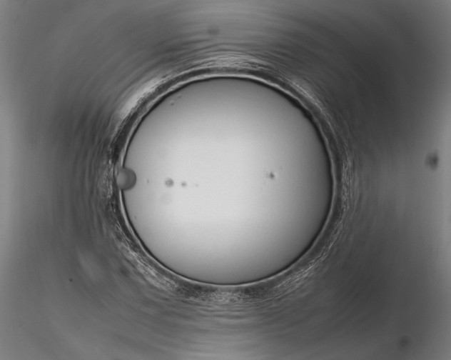 X0000116311067200912141353