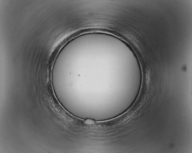 X0000116311069200912141353