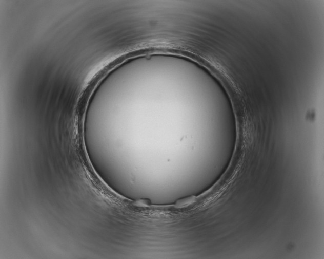 X0000116311070200912141353