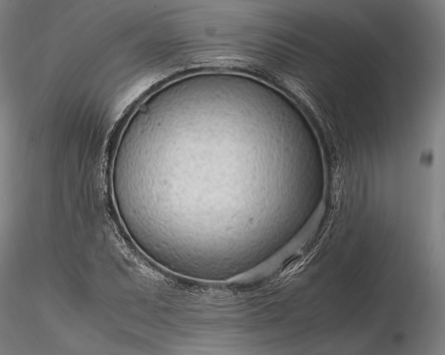 X0000116311071200912141353