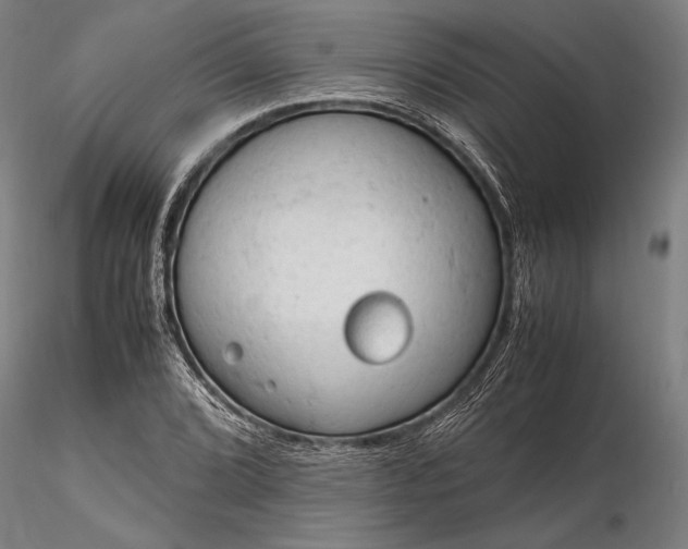 X0000116311072200912141353